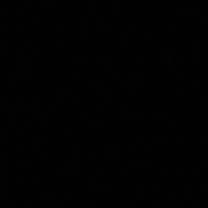 Meet your Posher, Ben